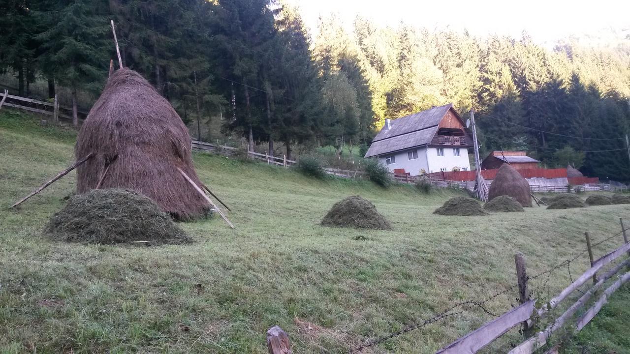 Arieşeni Cabana Aurora 빌라 외부 사진