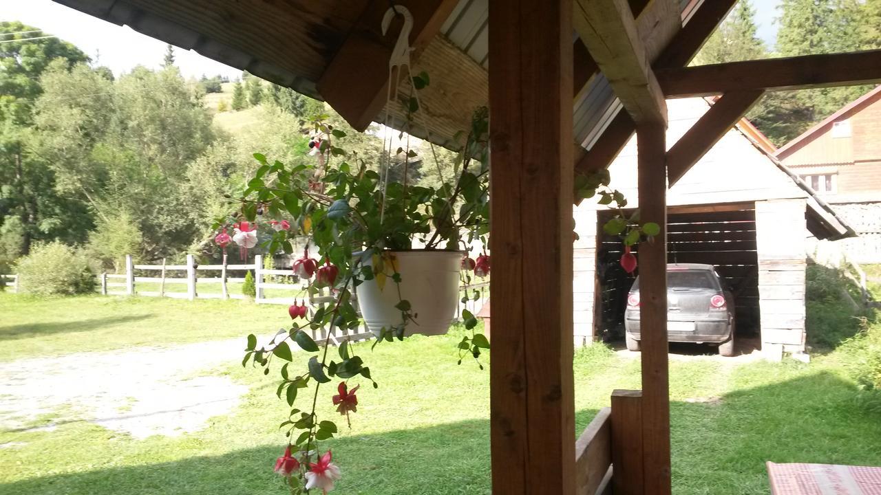 Arieşeni Cabana Aurora 빌라 외부 사진